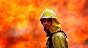 Incêndios Florestais